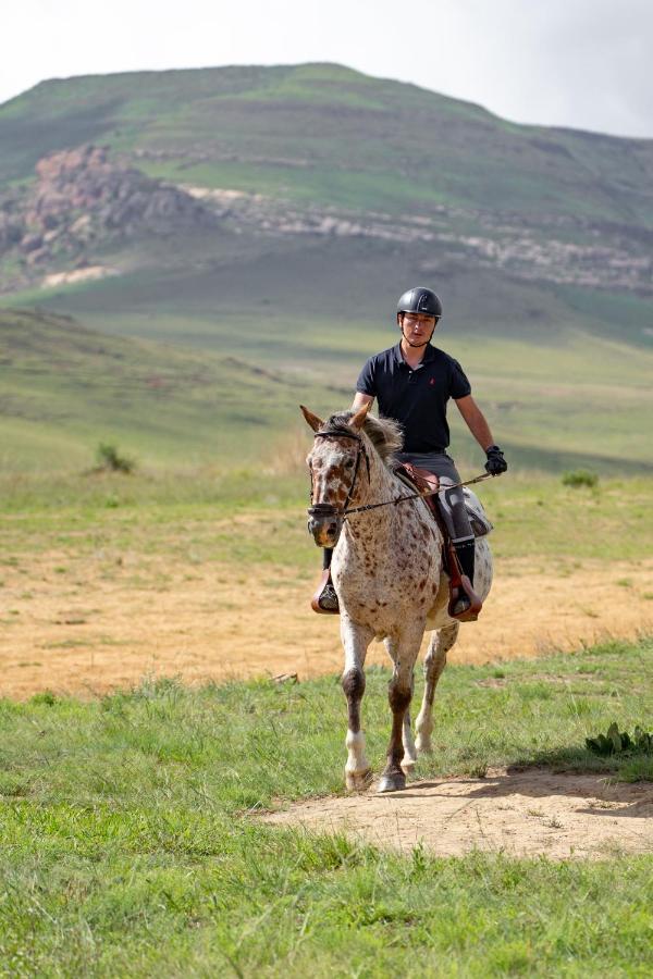Wild Horses Lodge Harrismith Exterior foto