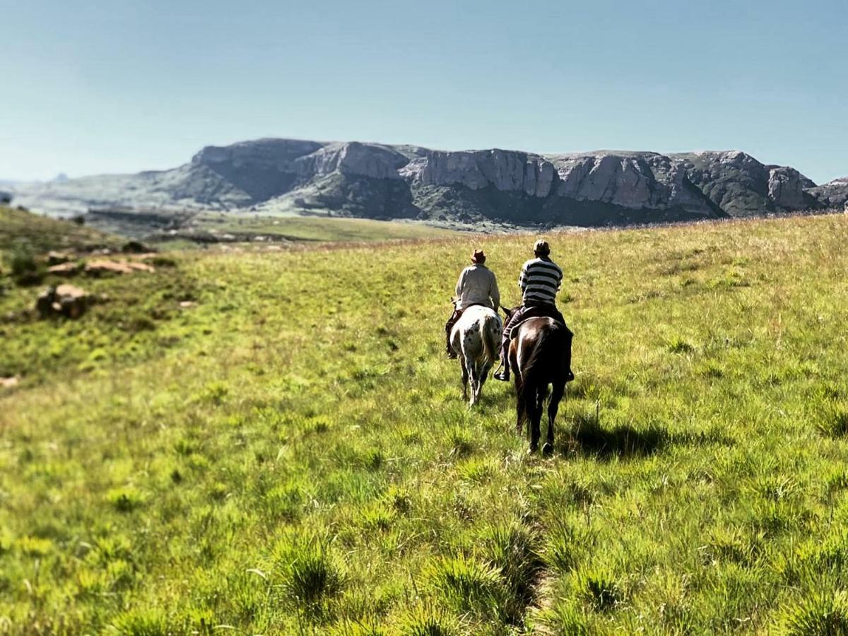 Wild Horses Lodge Harrismith Exterior foto